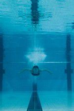 Watch Mammal Watch123movies