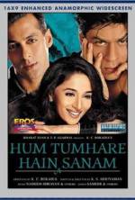 Watch Hum Tumhare Hain Sanam Watch123movies