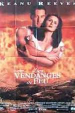 Watch A Walk in the Clouds Watch123movies