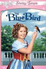 Watch The Blue Bird Watch123movies