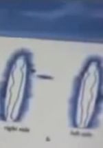 Watch Quantum Communication Watch123movies