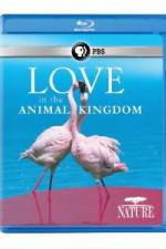 Watch Nature: Love in the Animal Kingdom Watch123movies