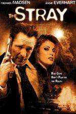 Watch The Stray Watch123movies
