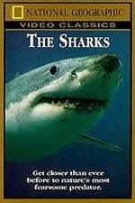 Watch National Geographic The Sharks Watch123movies
