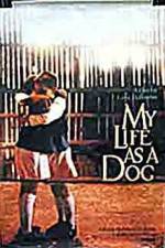 Watch My Life As A Dog Watch123movies