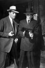 Watch No Orchids for Miss Blandish Watch123movies