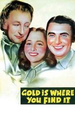 Watch Gold Is Where You Find It Watch123movies