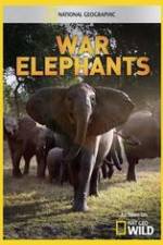 Watch War Elephants Watch123movies
