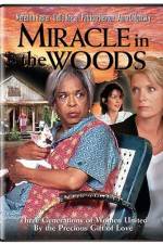 Watch Miracle in the Woods Watch123movies