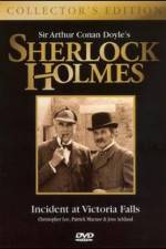 Watch Incident at Victoria Falls Watch123movies