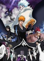 Watch Bleach the Movie 2: The Diamond Dust Rebellion Watch123movies
