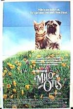 Watch Milo and Otis Watch123movies