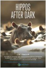 Watch Hippos After Dark Watch123movies