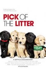 Watch Pick of the Litter Watch123movies