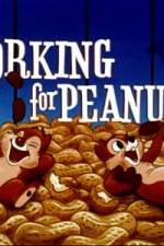 Watch Working For Peanuts Watch123movies