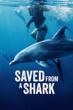 Watch Saved from a Shark Watch123movies