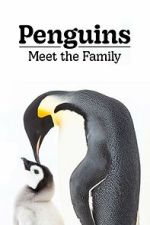 Watch Penguins: Meet the Family Watch123movies