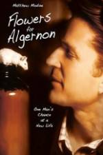 Watch Flowers for Algernon Watch123movies