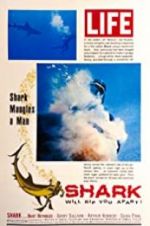 Watch Shark Watch123movies