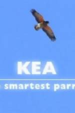 Watch Kea - The Smartest Parrot Watch123movies