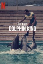 Watch The Last Dolphin King Watch123movies