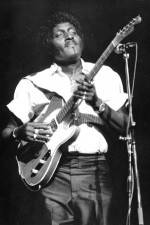 Watch Albert Collins in Concert Watch123movies
