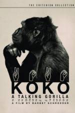 Watch Koko, le gorille qui parle Watch123movies
