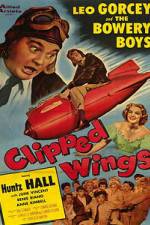 Watch Clipped Wings Watch123movies