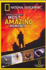 Watch National Geographics Most Amazing Moments Watch123movies