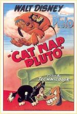Watch Cat Nap Pluto Watch123movies