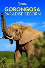 Watch Gorongosa: Paradise Reborn (Short 2022) Watch123movies