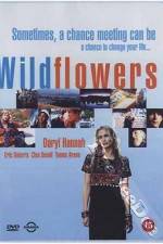 Watch Wildflowers Watch123movies