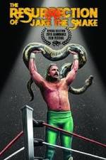 Watch The Resurrection of Jake The Snake Roberts Watch123movies