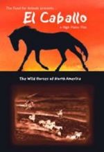 Watch El Caballo: The Wild Horses of North America Watch123movies