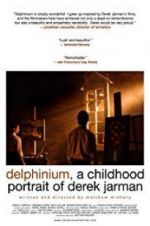 Watch Delphinium: A Childhood Portrait of Derek Jarman Watch123movies