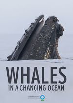 Watch Whales in a Changing Ocean (Short 2021) Watch123movies