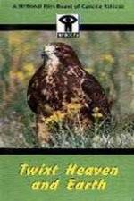 Watch Twixt Heaven and Earth Watch123movies