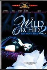Watch Wild Orchid II Two Shades of Blue Watch123movies