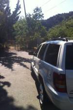 Watch Nefarious Nellie Watch123movies