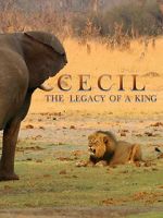 Watch Cecil: The Legacy of a King Watch123movies
