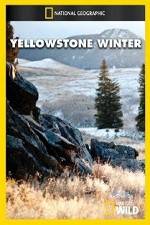 Watch National Geographic Yellowstone Winter Watch123movies