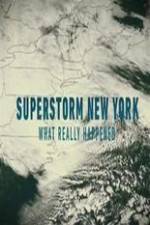 Watch Superstorm New York: What Really Happened Watch123movies