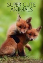 Watch Super Cute Animals Watch123movies