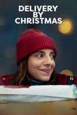 Watch Delivery by Christmas Watch123movies