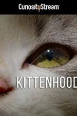 Watch Kittenhood Watch123movies