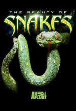 Watch Beauty of Snakes Watch123movies