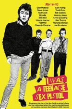 Watch I Was a Teenage Sex Pistol Watch123movies