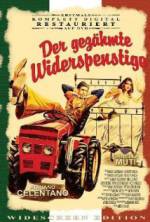 Watch The Taming of the Scoundrel Watch123movies