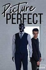 Watch Picture Perfect Watch123movies
