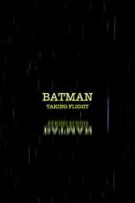 Watch Batman: Taking Flight Watch123movies